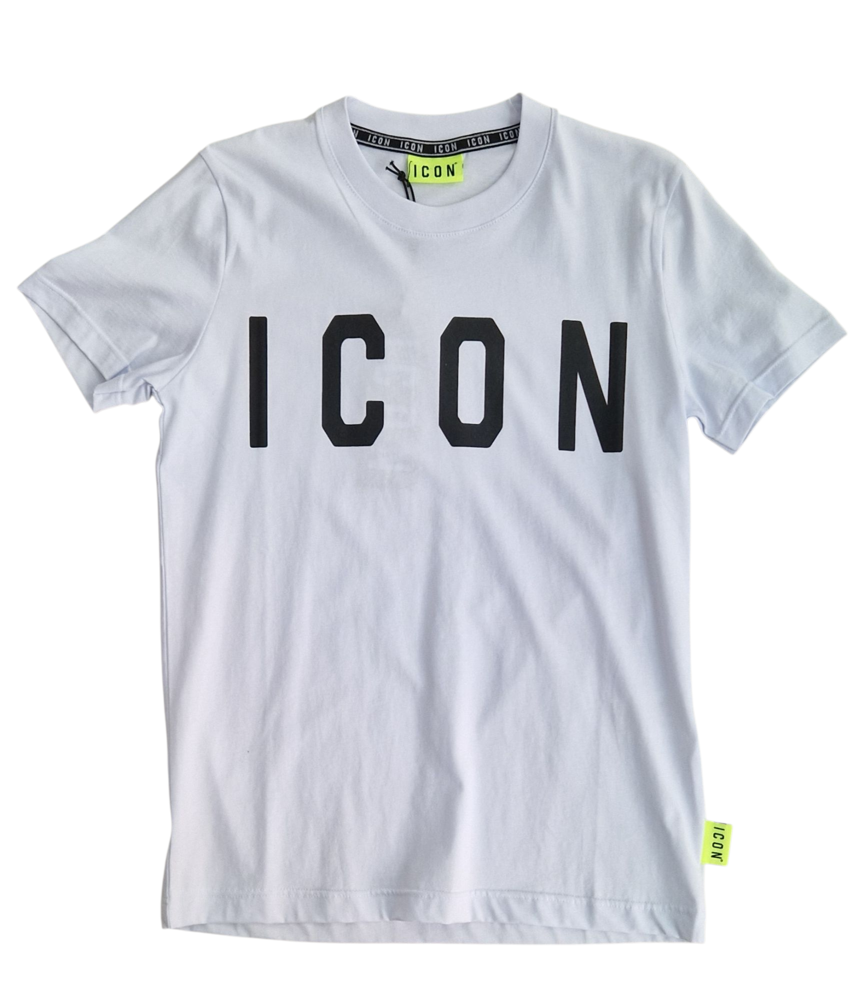 T shirt icon
