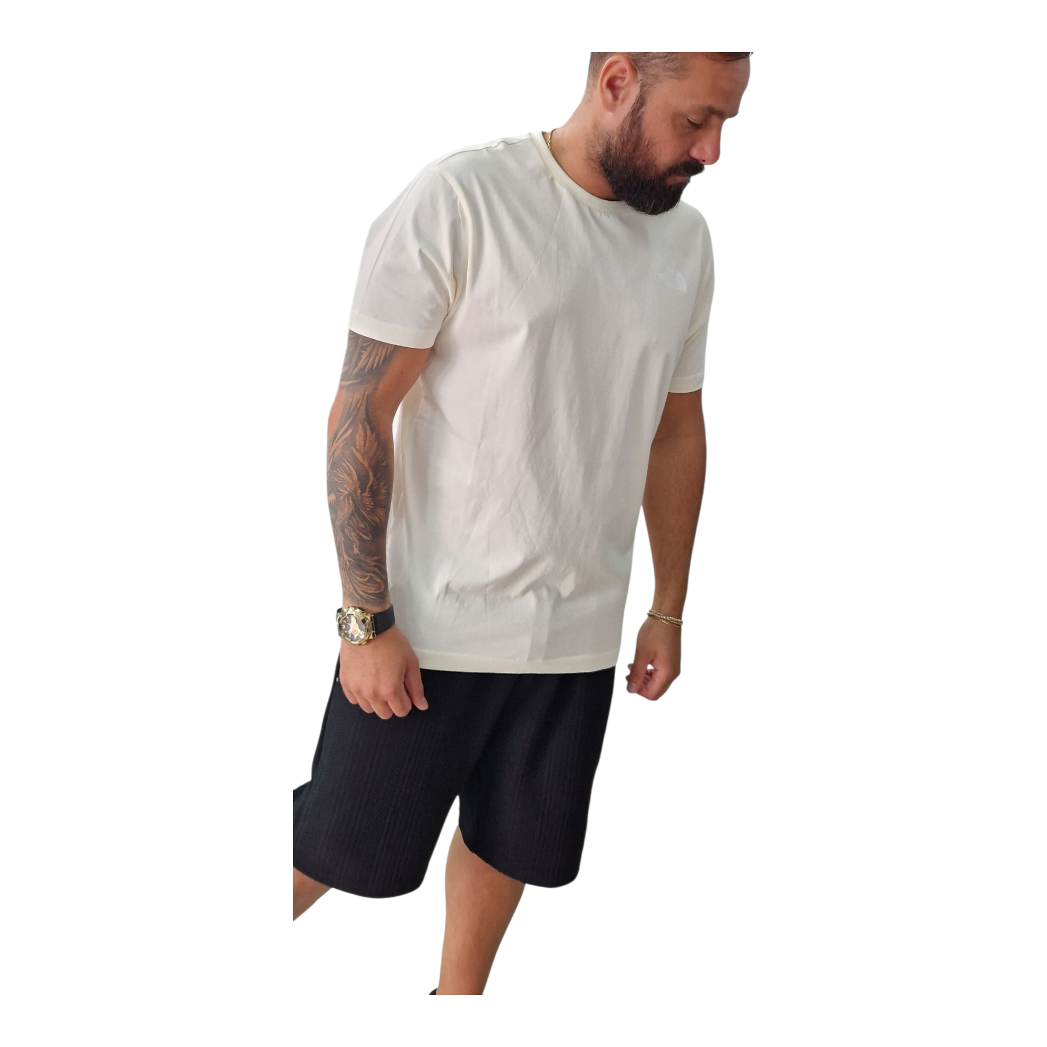 T shirt the nort