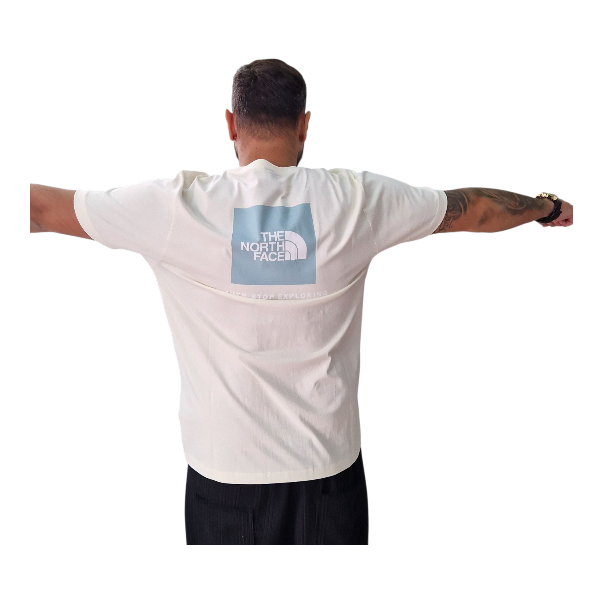 T shirt the nort